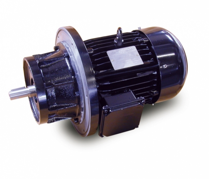Motor BAQ112M4 kW 4 - 4 pole, air cooled in a water-tight container with mechanical seals on the shaft for surface agitators